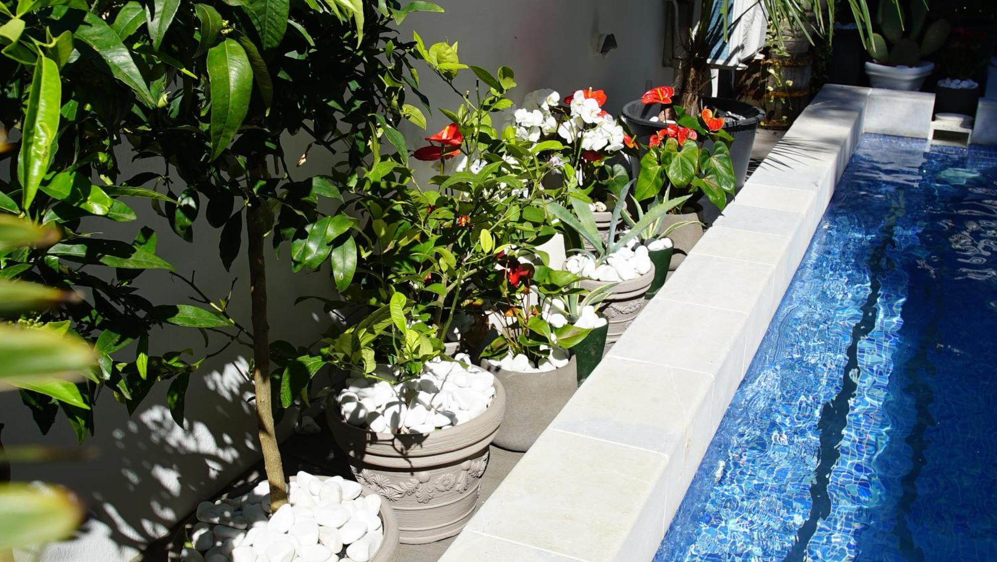 Penthouse Stoliv New Spa-Pool Villa Is Located 5M From The Sea, Exclusive Terrace,Private Jetty Wih Sunbeds, Pebble Beach, Secluded Location Total Area 375M2 At Your Disposal Kotor Exterior foto